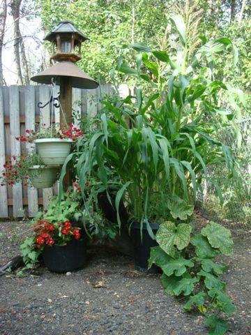 Мини-отель Fairbanks Downtown Bed & Breakfast