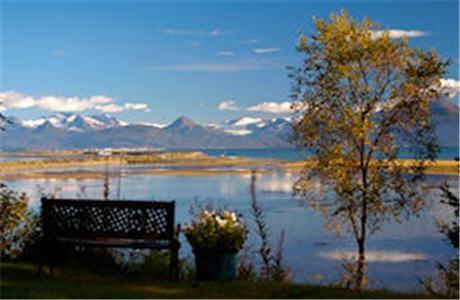 Мини-отель Bay Ave Bed and Breakfast Inn