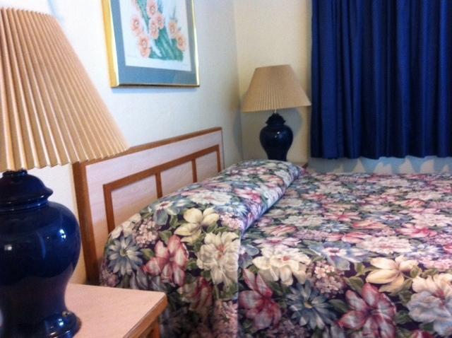 Отель Kings Canyon Motel