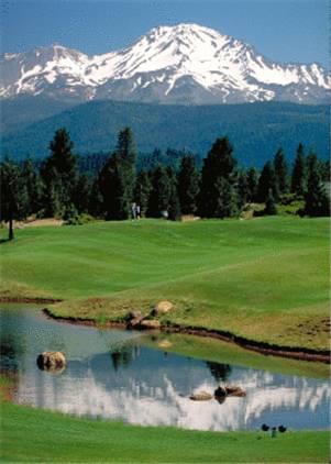 Отель Mount Shasta Resort