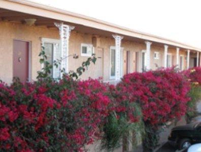 Отель Flamingo Motel Oxnard