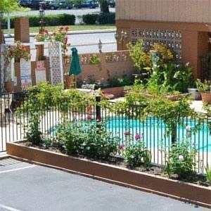 Отель Stanford Motor Inn