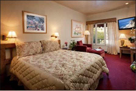 Отель Villa Rosa Inn