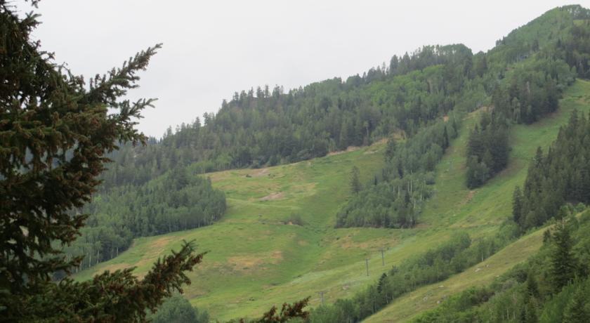 Отель Shadow Mountain Lodge