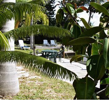 Отель Hidden Harbor Suites