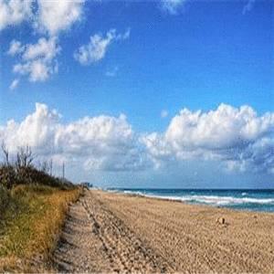 Отель Royal Inn Beach Hotel