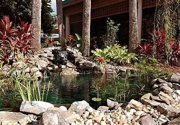 Отель Marriott's Imperial Palm Villas