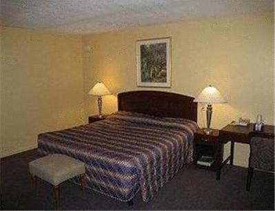 Отель Ecom Lodge Mount Dora