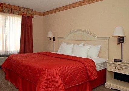 Отель Comfort Inn & Suites Berea