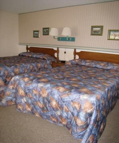 Отель Sea Gull Motel Cape Cod