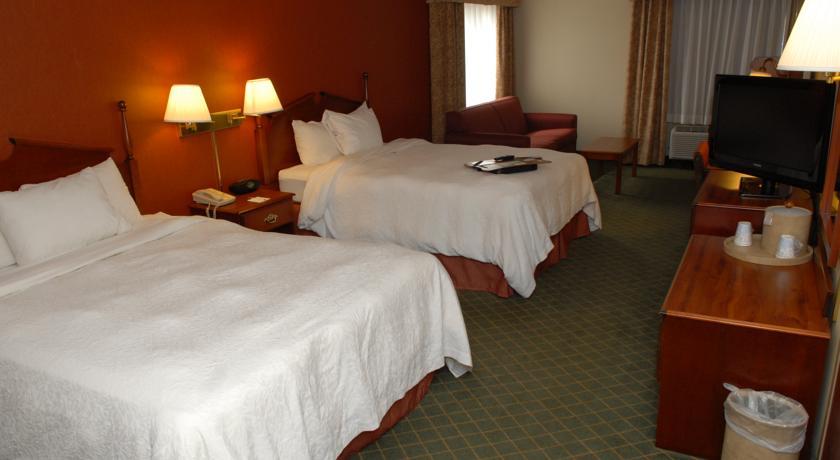 Отель Hampton Inn Birch Run
