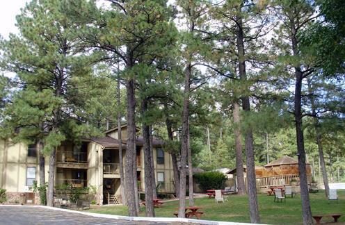 Отель Village Lodge