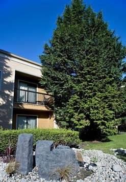 Отель Courtyard Seattle Bellevue Redmond