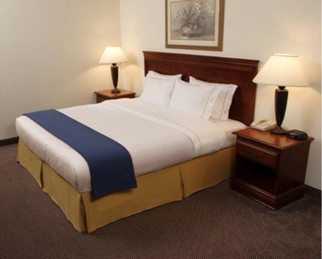 Отель Holiday Inn Express & Suites Belle Vernon