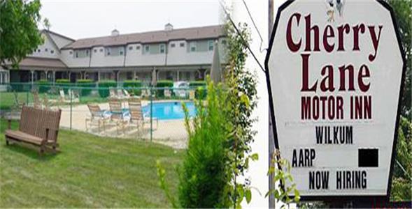 Отель Cherry Lane Motor Inn