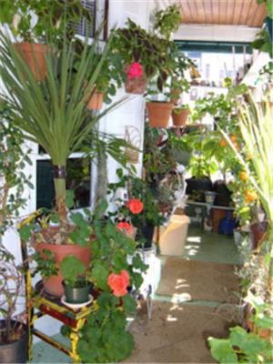Отель Fair Street Guest House