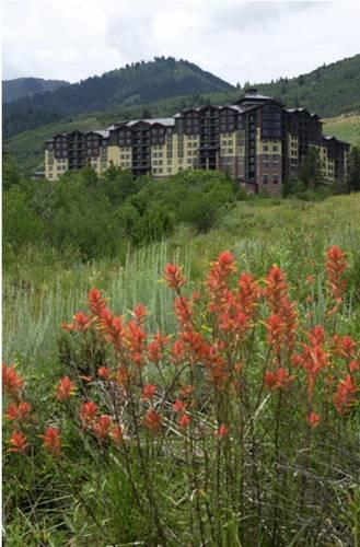 Отель Grand Summit Hotel