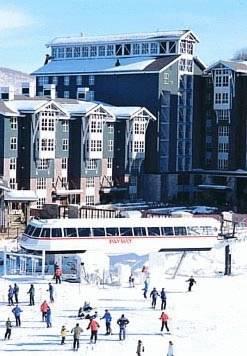 Отель Marriott's MountainSide