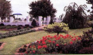 Отель The Village Inn