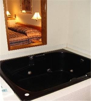 Отель Bay City Motor Inn