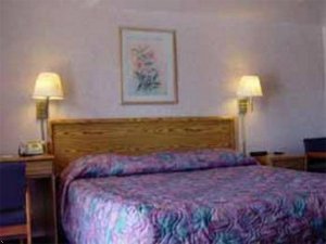 Отель Camelot Inn