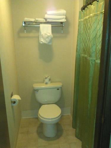 Отель Executive Lodge