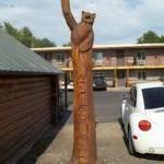Отель Budget Host Elk Antler Inn