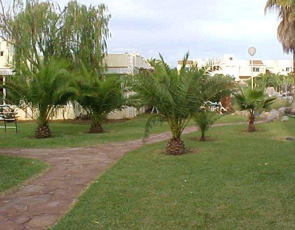 Апартаменты Apartamentos Moguima
