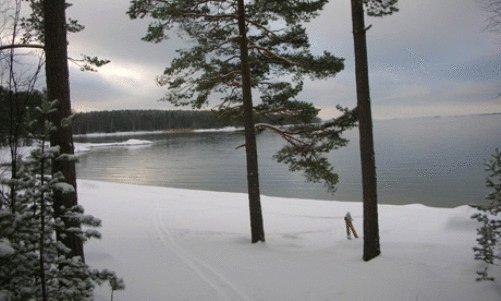 Отель Holiday Village Meripesä