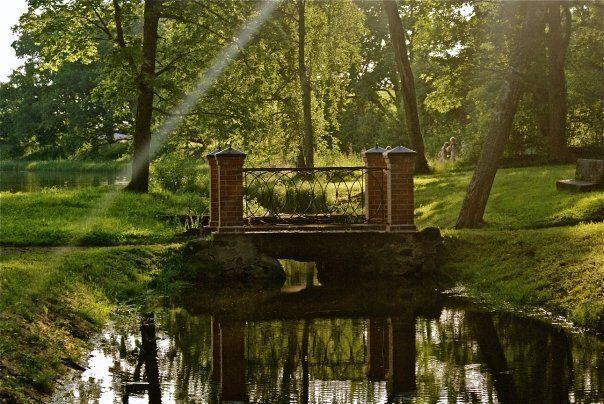 Гостевой дом Rogosi Manor Training and Wellness Center