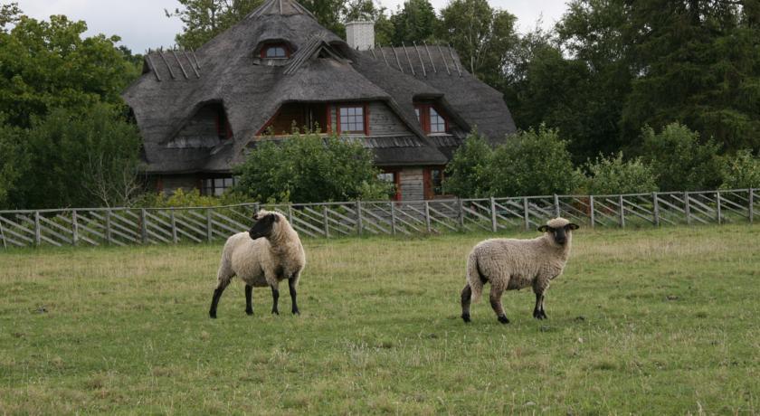 Отель Toomalõuka Tourist Farm