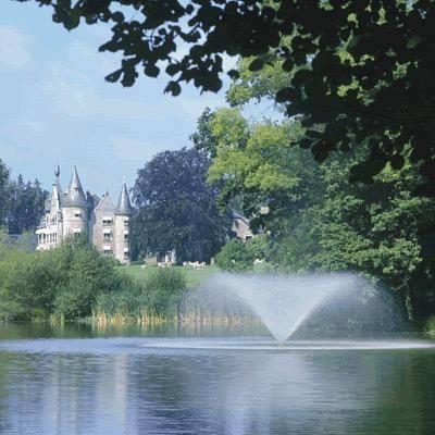 Отель Chateau D'Hassonville