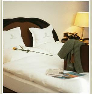 Отель Hotel Kasteel Solhof