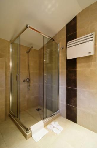 Отель Spa Hotel Planinata