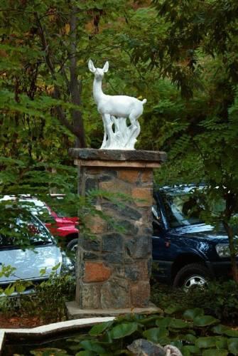 Отель Forest Park Hotel