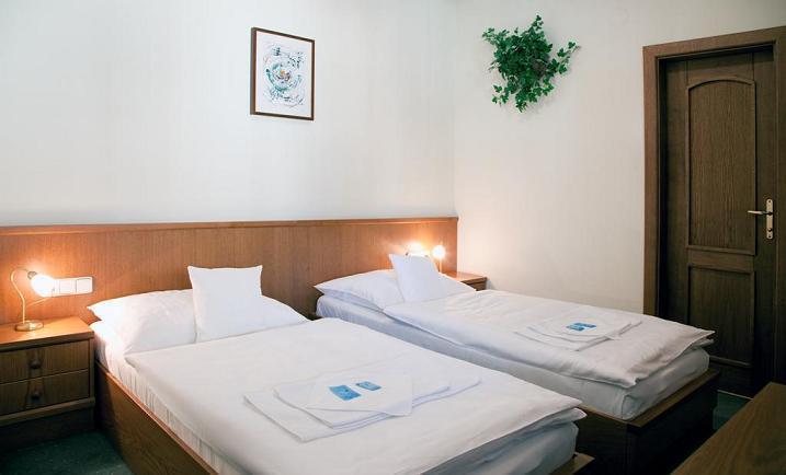 Отель Hotel Jelínkova vila