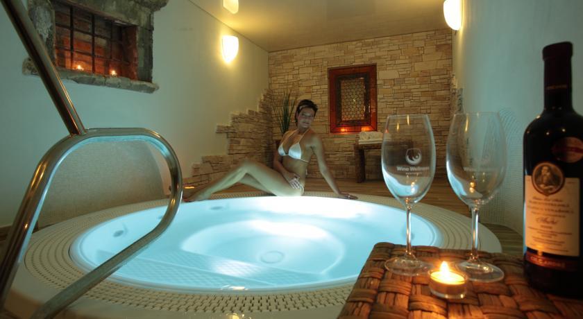 Отель Wine Wellness Hotel Centro Hustopeče