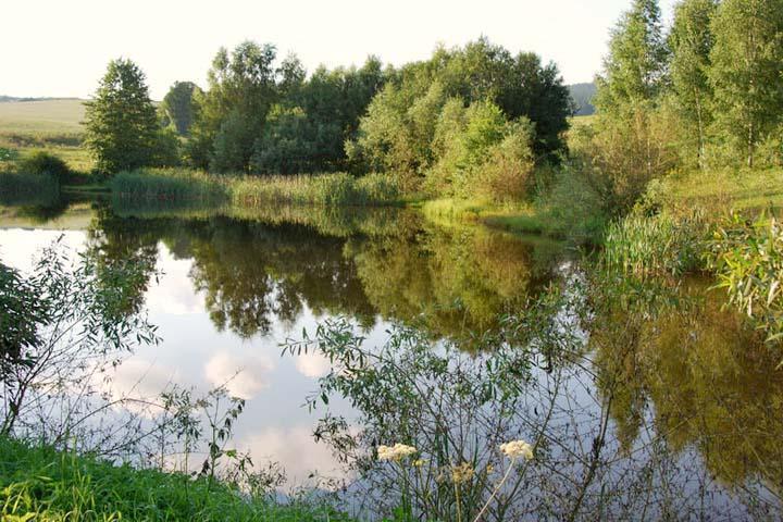 Гостевой дом Lisensky Dvur