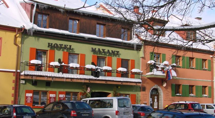 Отель Hotel Maxant