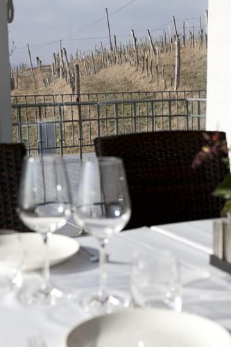 Отель Badacsony Borhotel