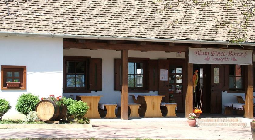 Гостевой дом Blum Pince - Borozó Vendégház
