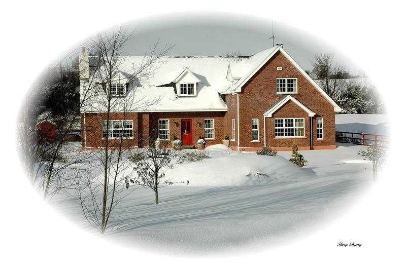 Мини-отель Birchwood House B&B