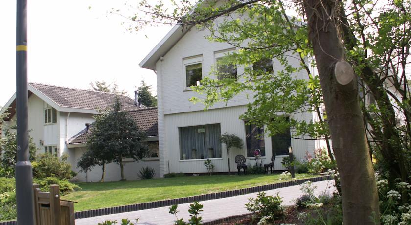 Мини-отель Villa Cedrus