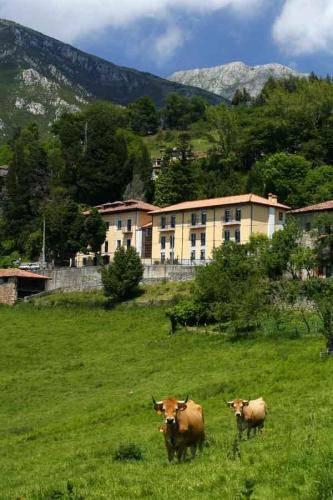 Отель Arcea Hotel Halcon Palace