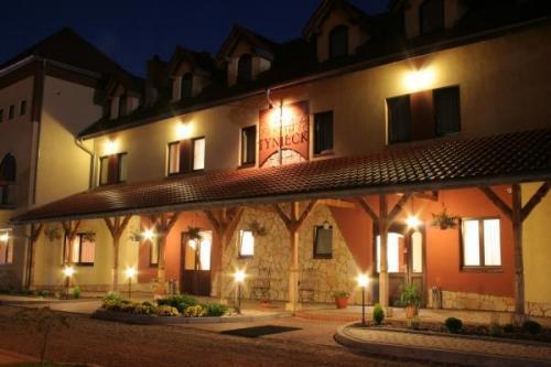 Отель Hotel Tyniecki