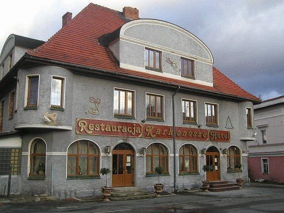 Гостевой дом Hotel Restauracja Karkonosze