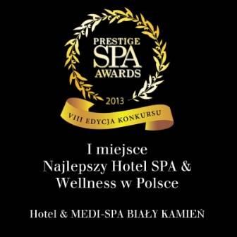 Отель Hotel & Medi-Spa Biały Kamień