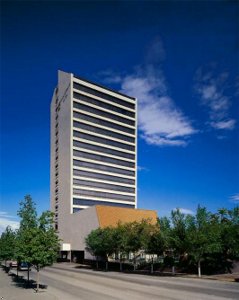 Отель Hotel Palacio Del Sol
