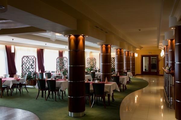 Отель Hotel Pod Dębem