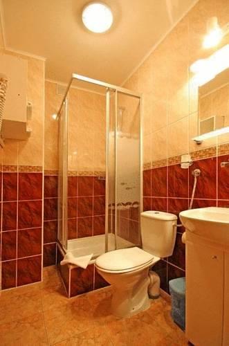 Отель Hotel Wodnik